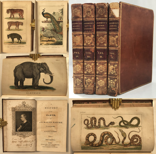 1826 goldsmith earth - 1826,