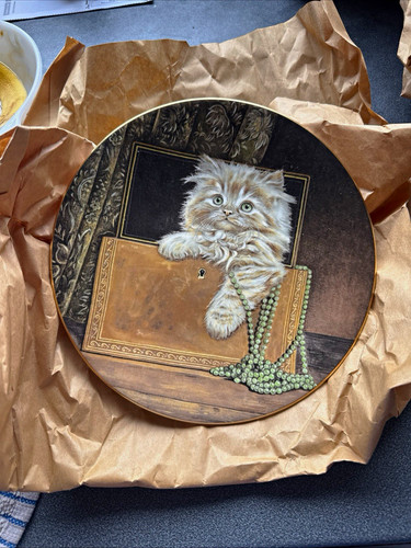 Royal worcester kitten - royal,